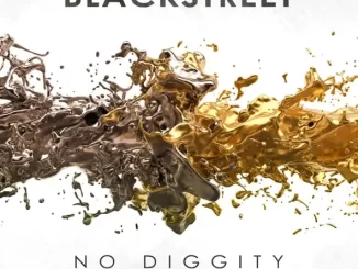 No Diggity (Re Recorded Sped Up) Single