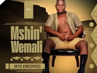 Mshinwemali – Into Enesiyezi