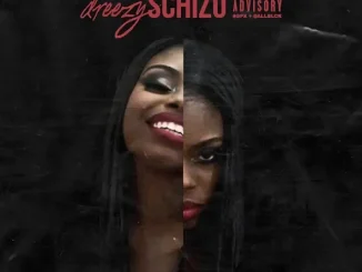 Schizo Dreezy