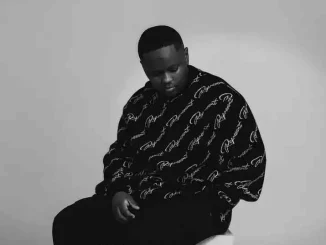 Stanky DeeJay – Pianocast Mix 40 (AmaPiano Mix) Stanky DeeJay – Pianocast Mix 40 (AmaPiano Mix)