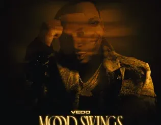 VEDO – Mood Swings