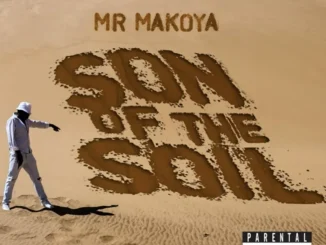 Mr Makoya – Soweto Mr Makoya – Soweto